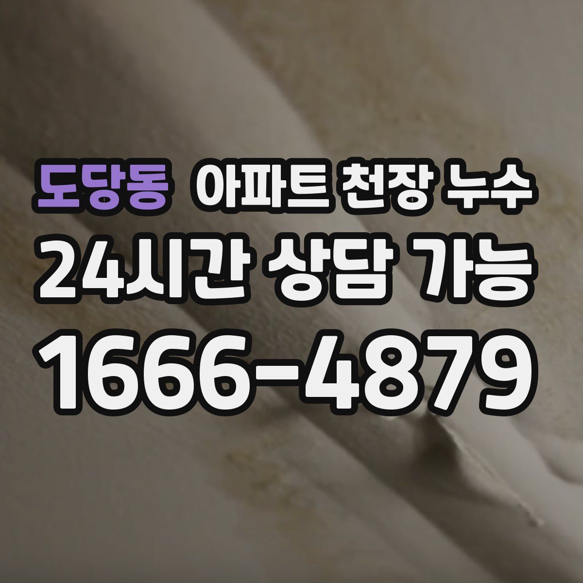 도당동 아파트 천장 누수