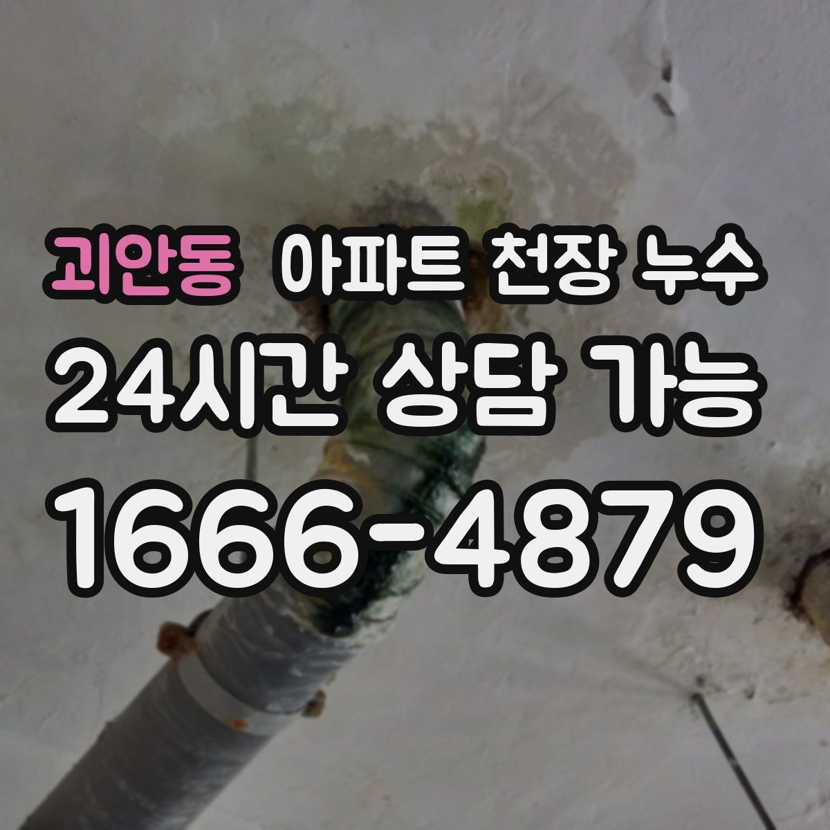 괴안동 아파트 천장 누수