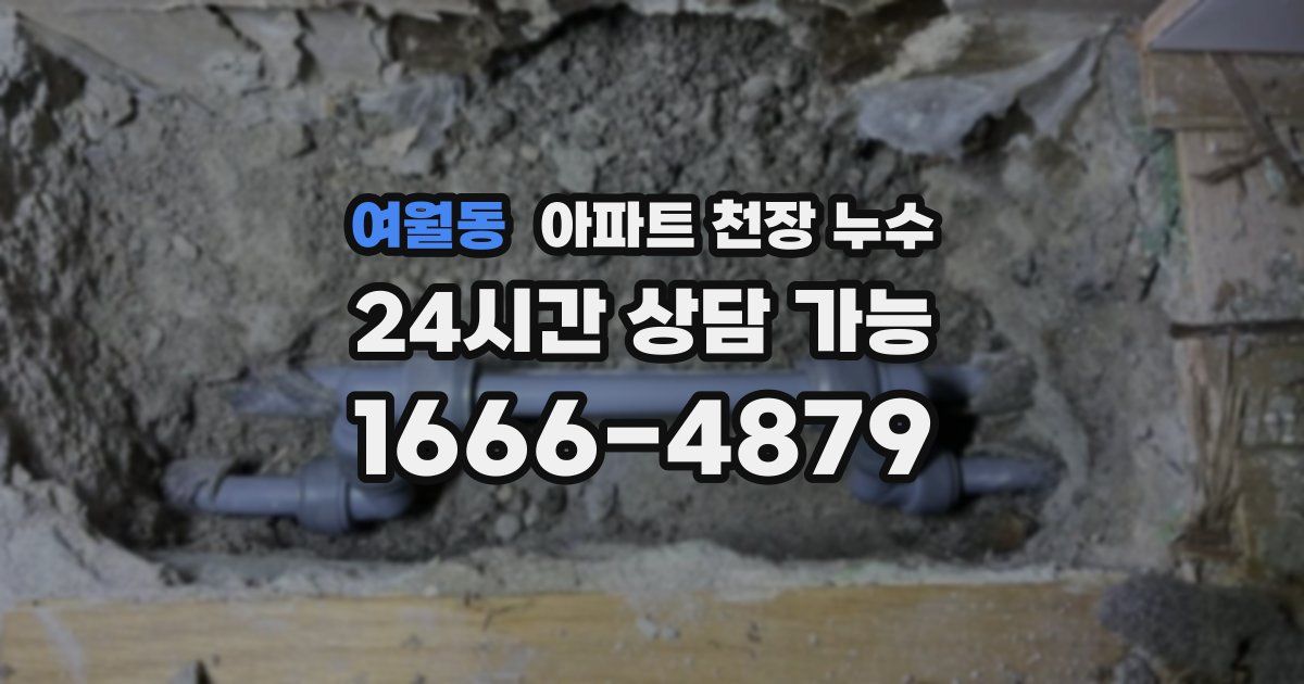 여월동 아파트 천장 누수