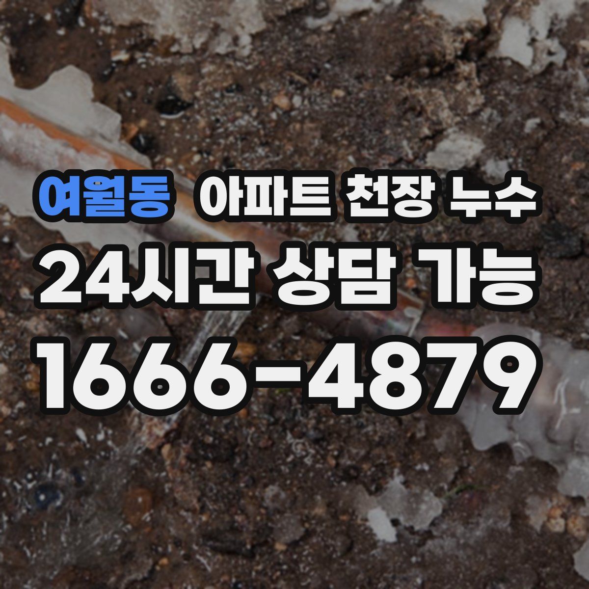 여월동 아파트 천장 누수