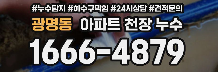 광명동 아파트 천장 누수