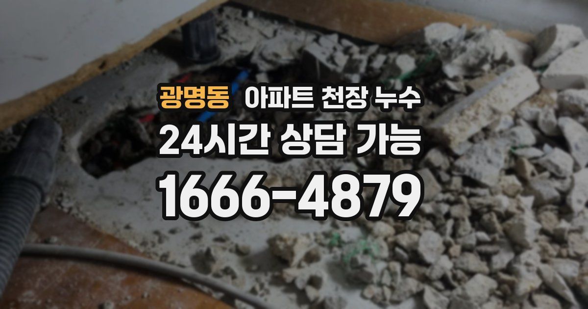광명동 아파트 천장 누수