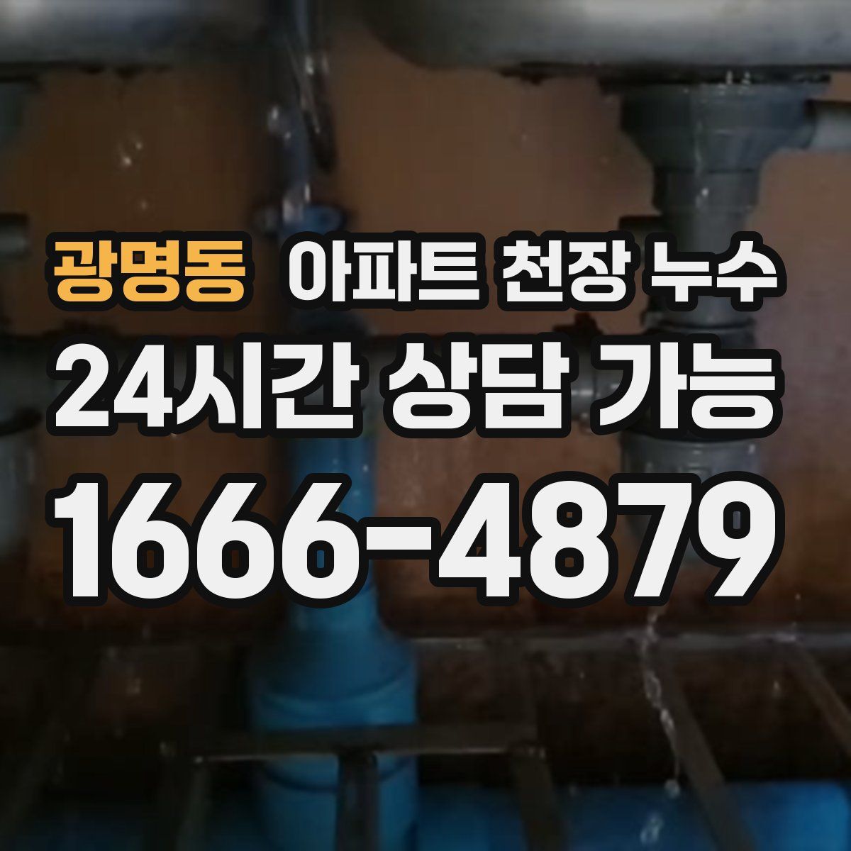 광명동 아파트 천장 누수