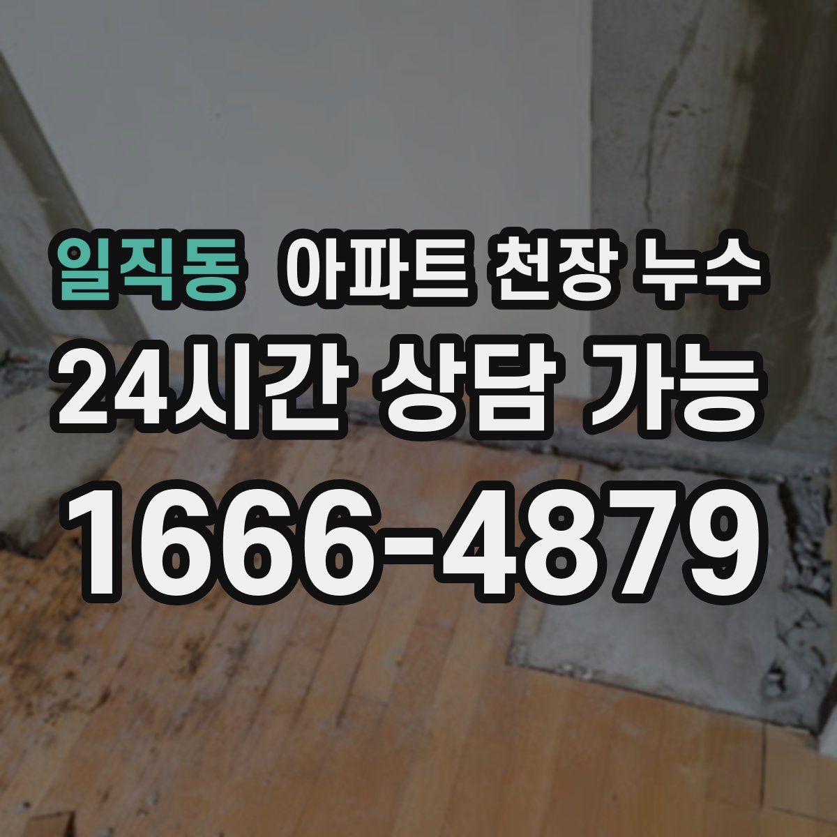 일직동 아파트 천장 누수