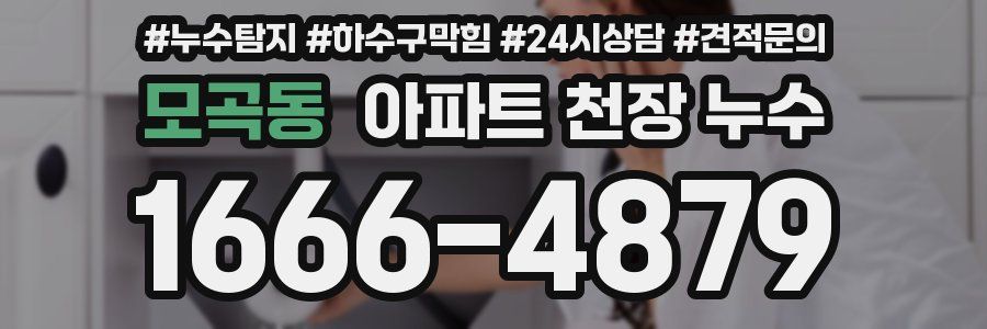모곡동 아파트 천장 누수
