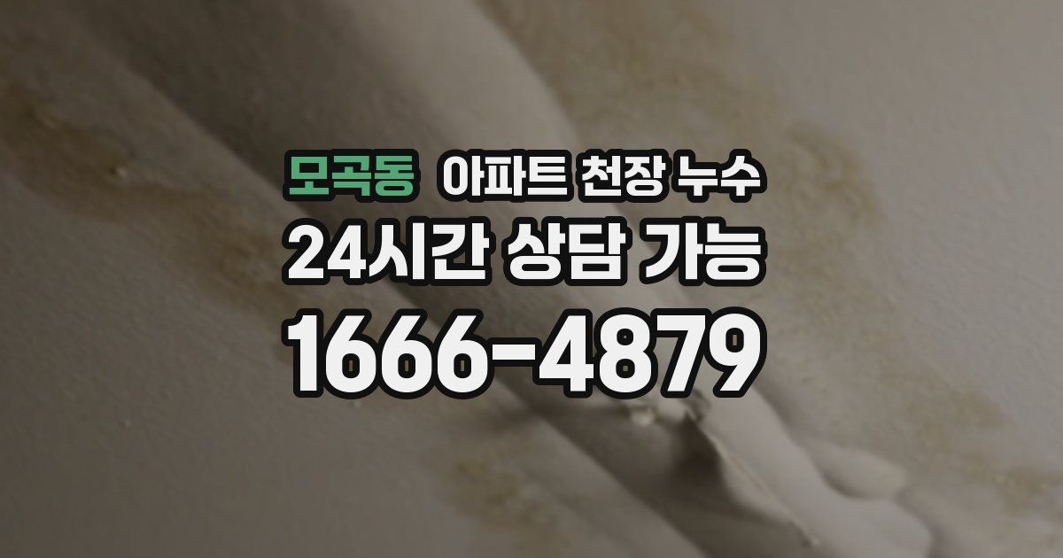모곡동 아파트 천장 누수