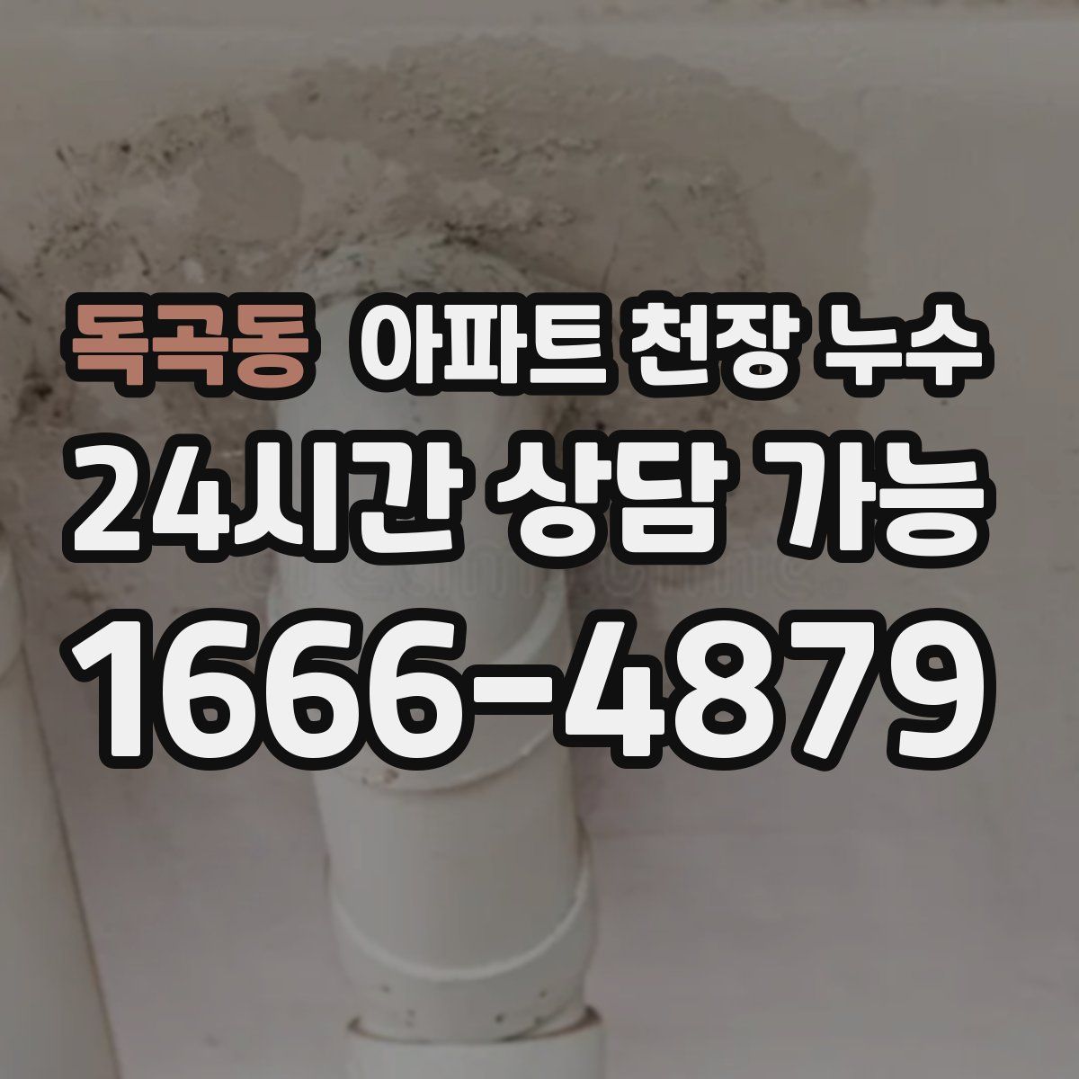 독곡동 아파트 천장 누수