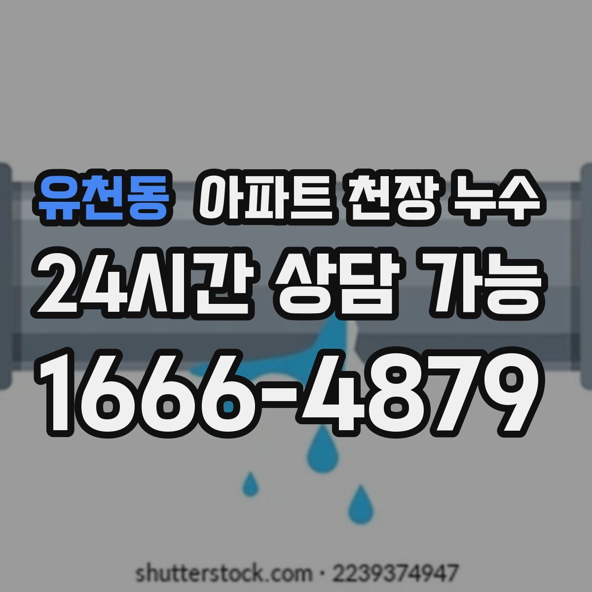 유천동 아파트 천장 누수
