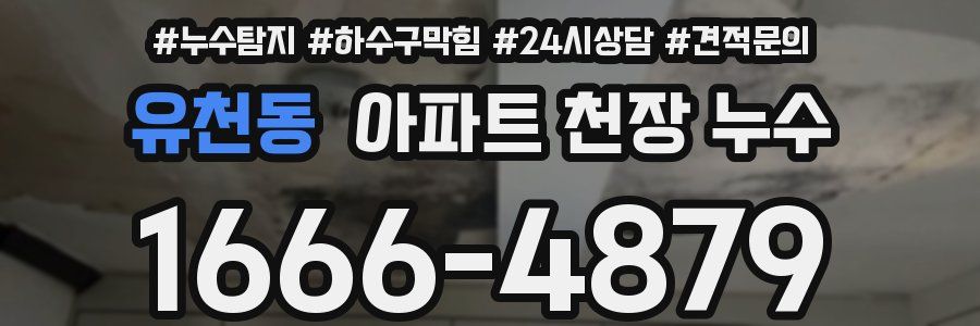 유천동 아파트 천장 누수