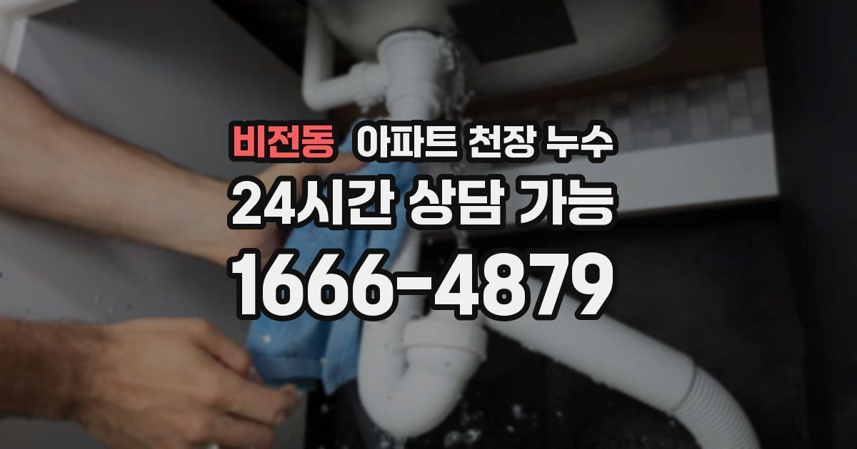 비전동 아파트 천장 누수