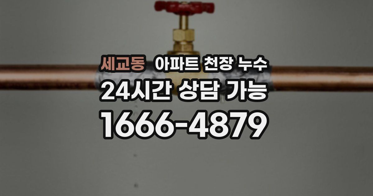 세교동 아파트 천장 누수