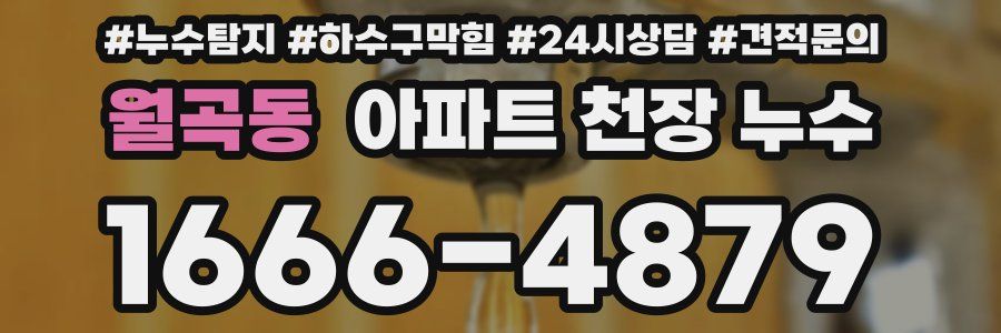 월곡동 아파트 천장 누수