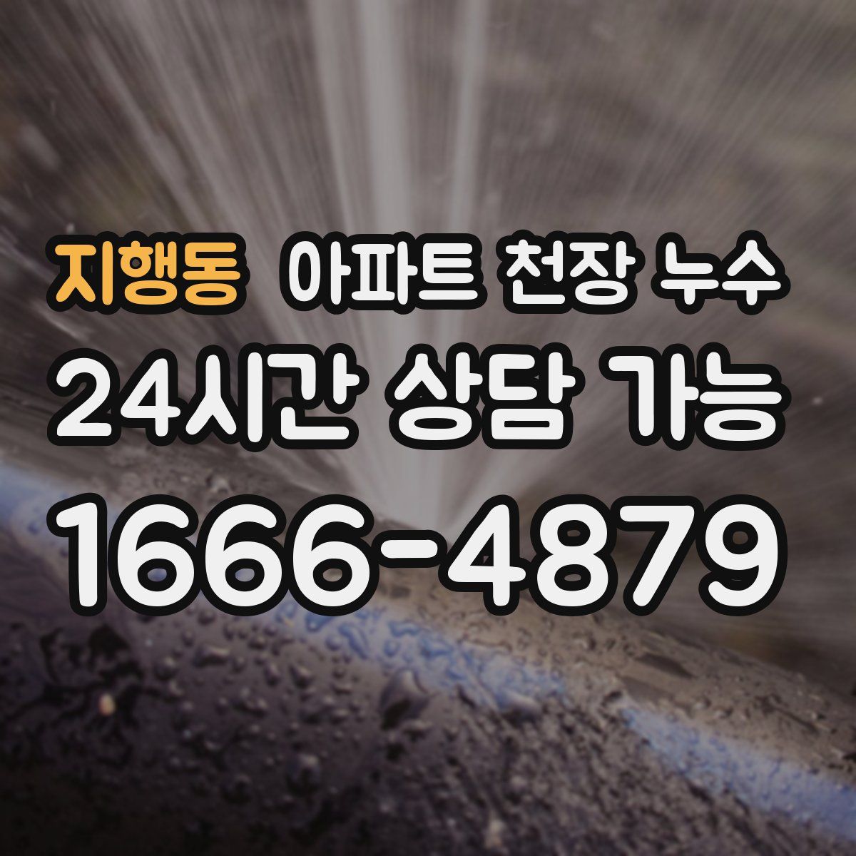 지행동 아파트 천장 누수