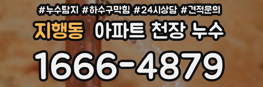 지행동 아파트 천장 누수