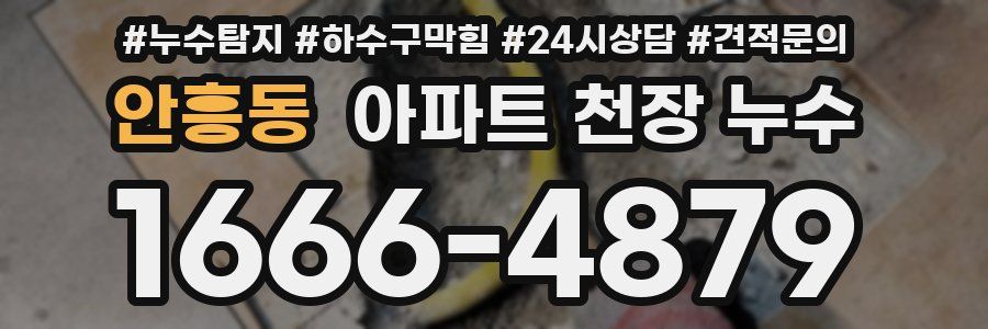 안흥동 아파트 천장 누수