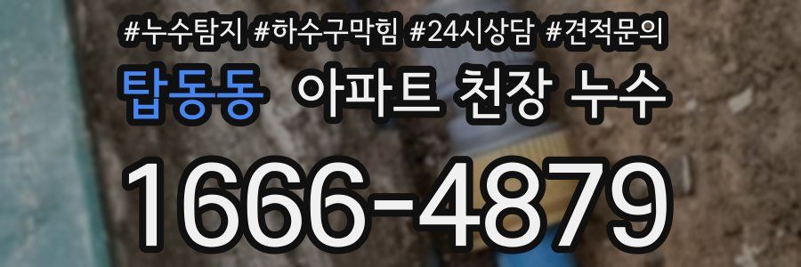 탑동동 아파트 천장 누수