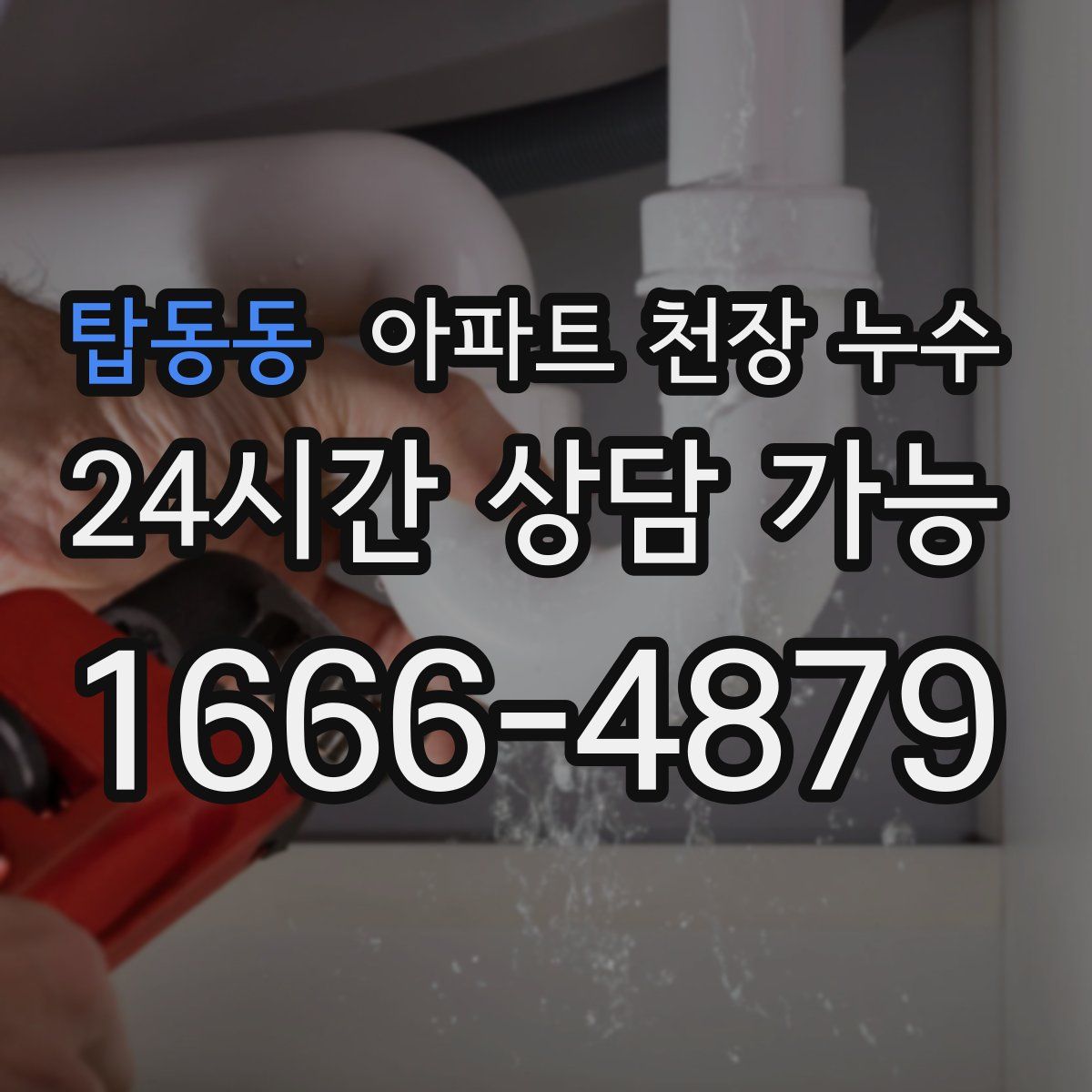 탑동동 아파트 천장 누수