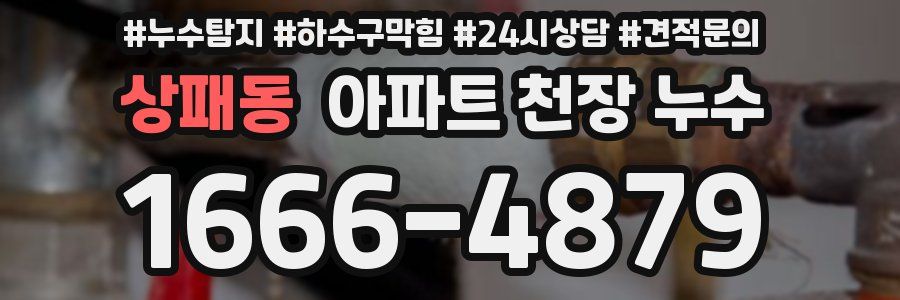 상패동 아파트 천장 누수