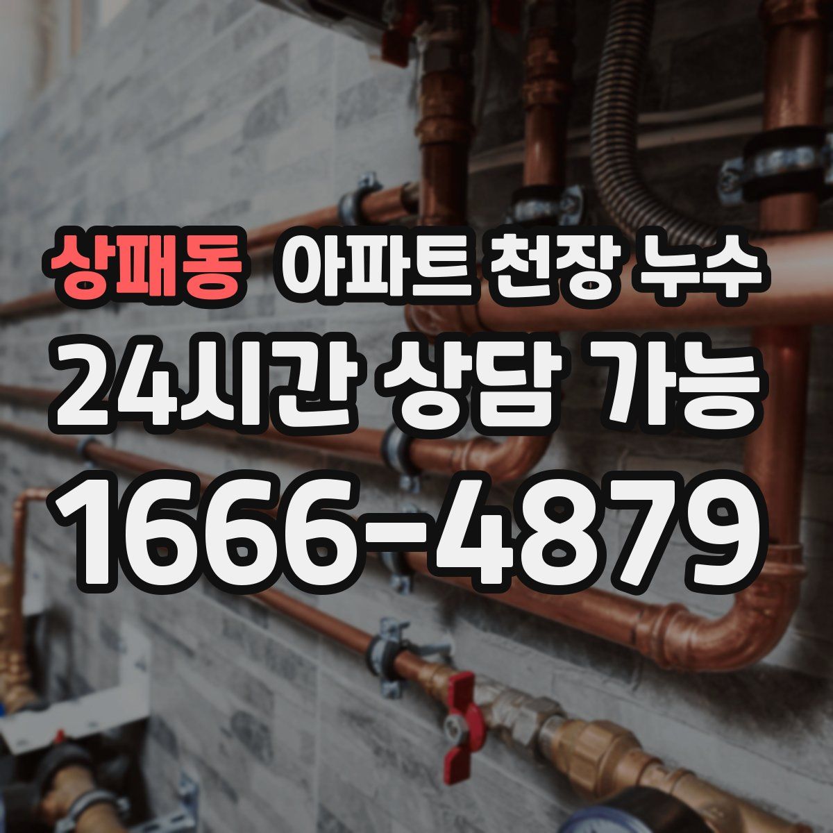 상패동 아파트 천장 누수