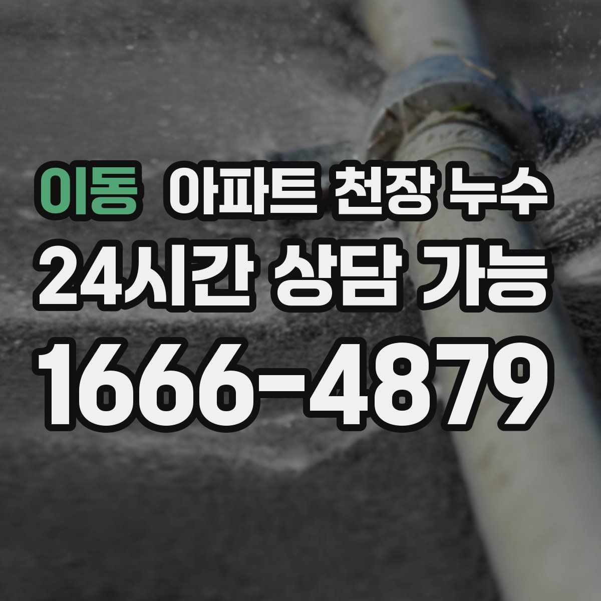 이동 아파트 천장 누수