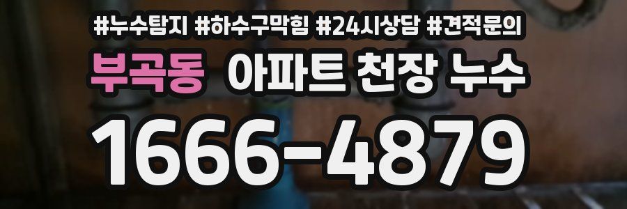 부곡동 아파트 천장 누수