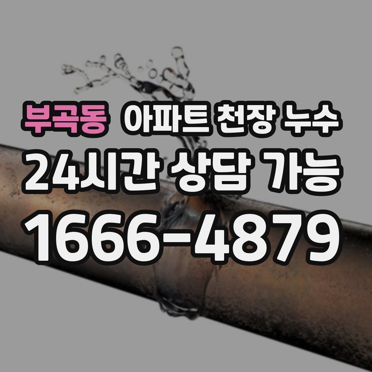 부곡동 아파트 천장 누수