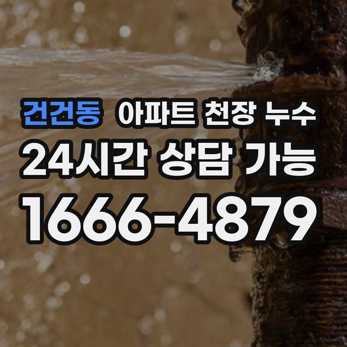 건건동 아파트 천장 누수