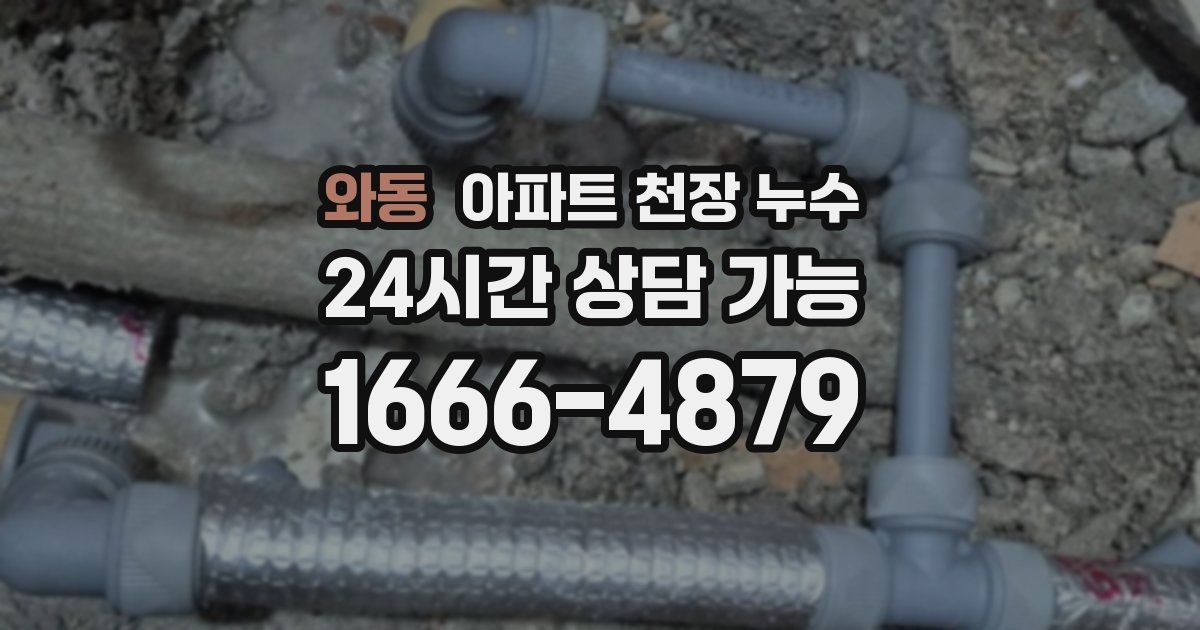 와동 아파트 천장 누수
