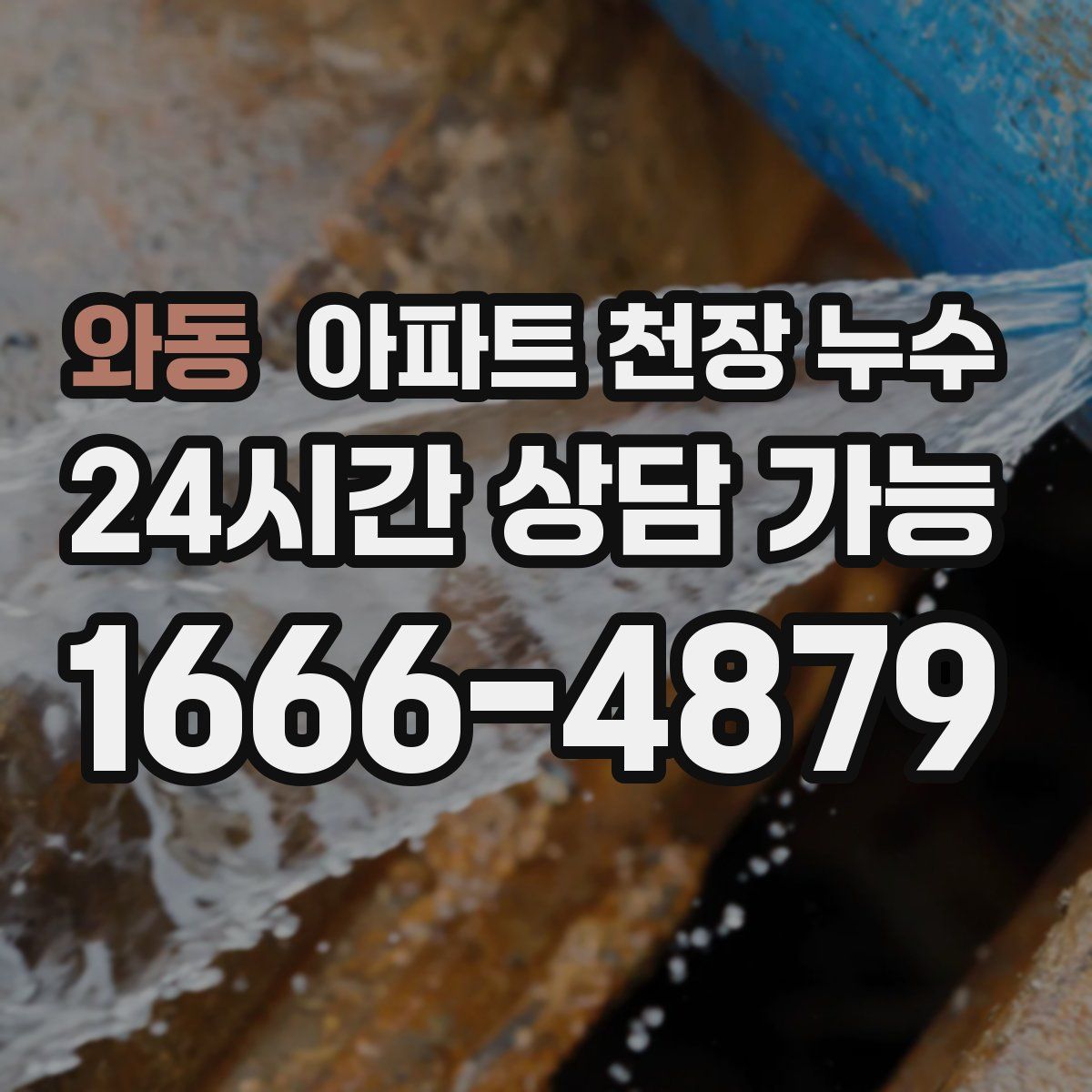 와동 아파트 천장 누수