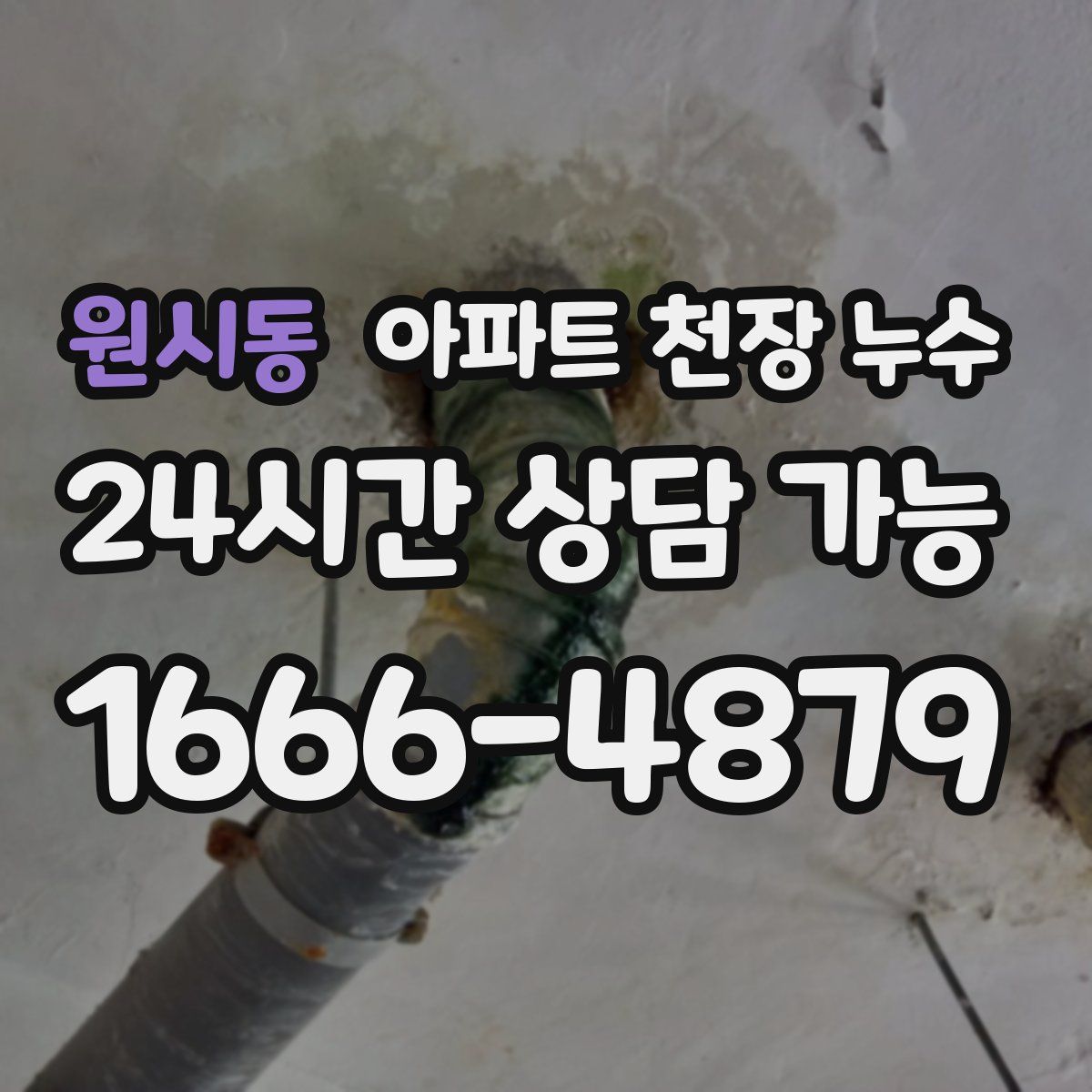 원시동 아파트 천장 누수
