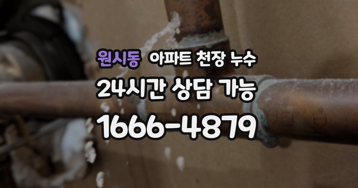 원시동 아파트 천장 누수