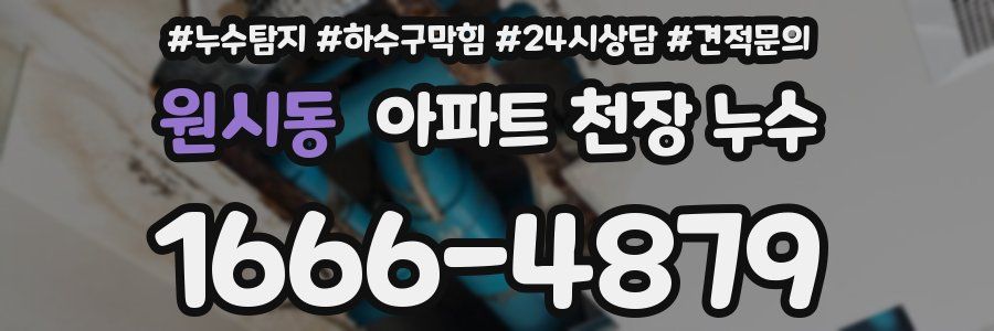 원시동 아파트 천장 누수