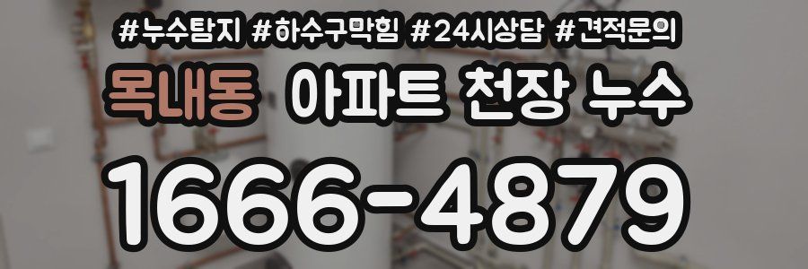 목내동 아파트 천장 누수