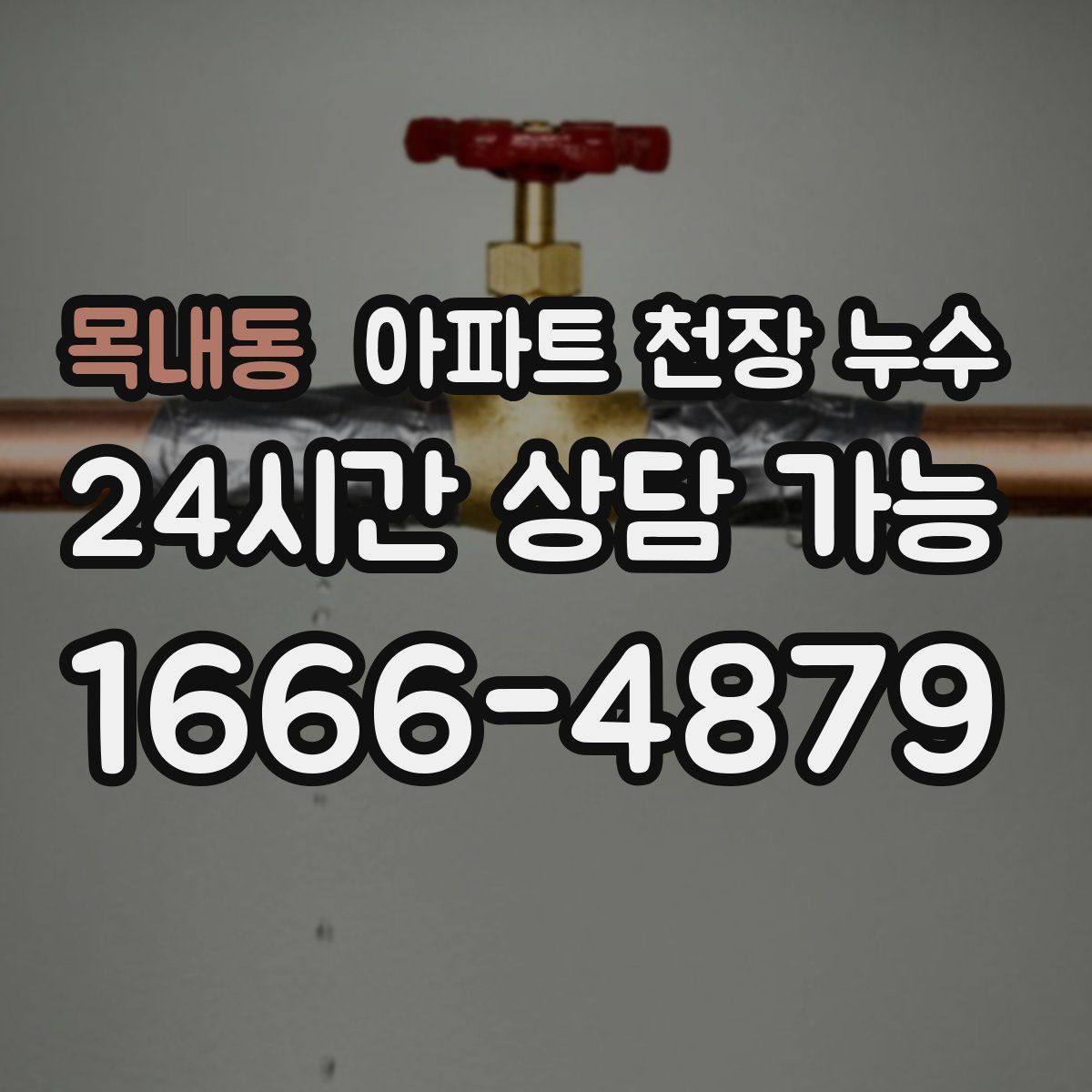 목내동 아파트 천장 누수