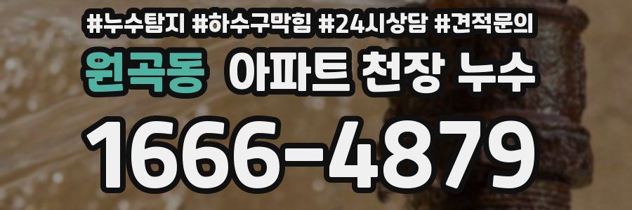 원곡동 아파트 천장 누수