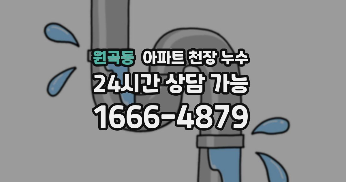 원곡동 아파트 천장 누수