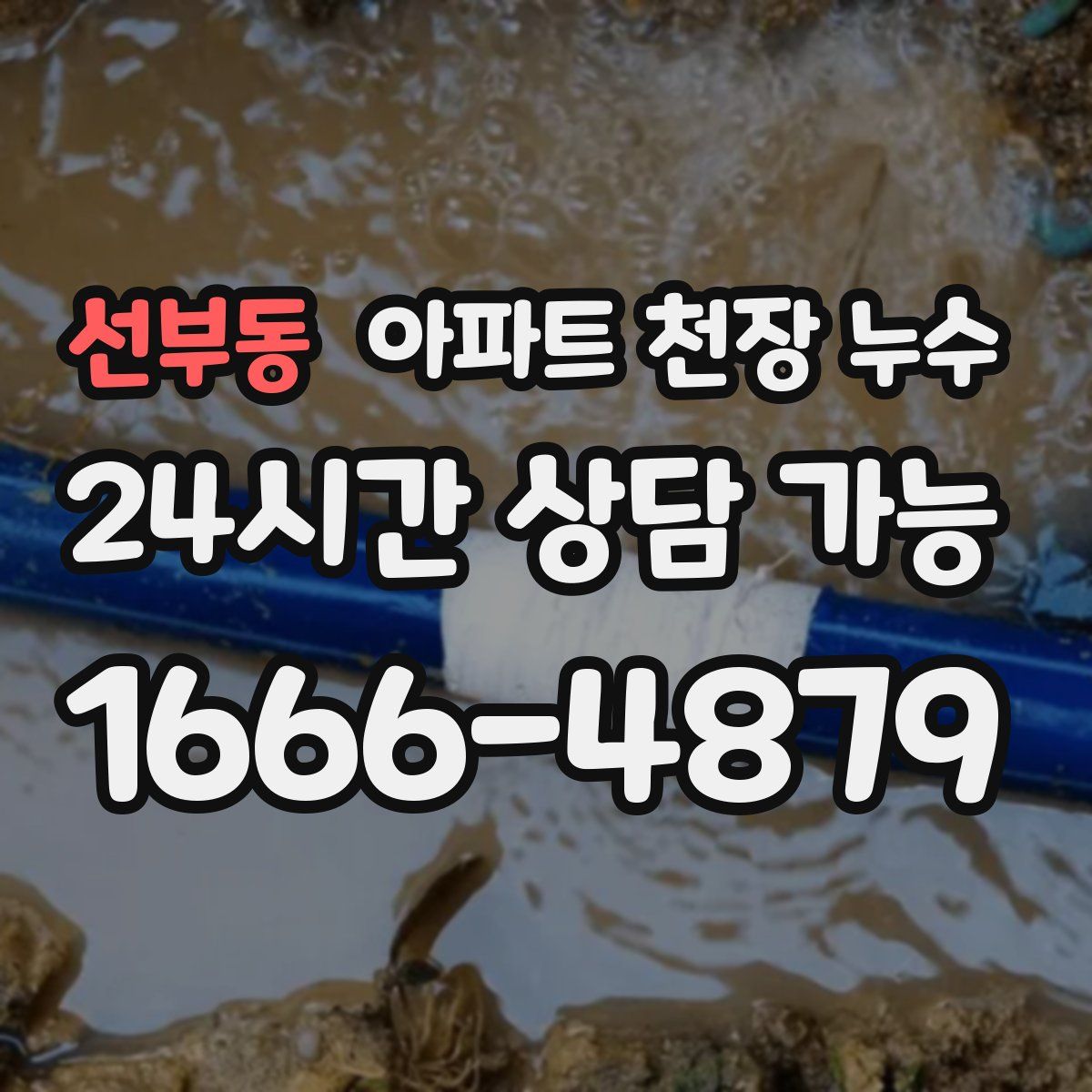 선부동 아파트 천장 누수