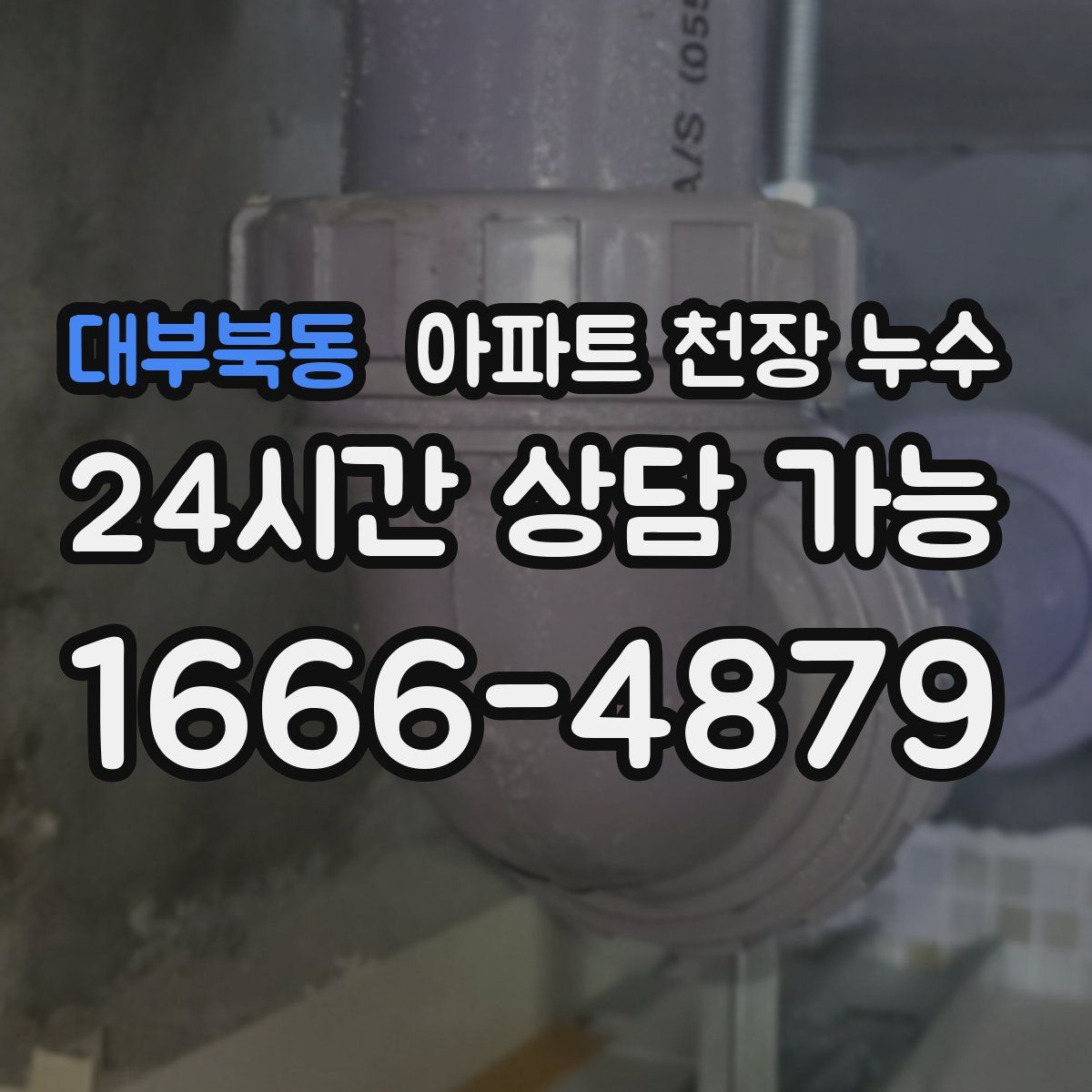 대부북동 아파트 천장 누수
