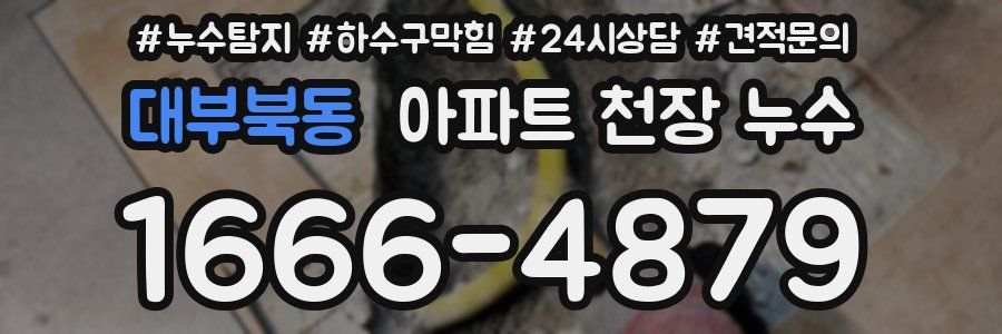 대부북동 아파트 천장 누수