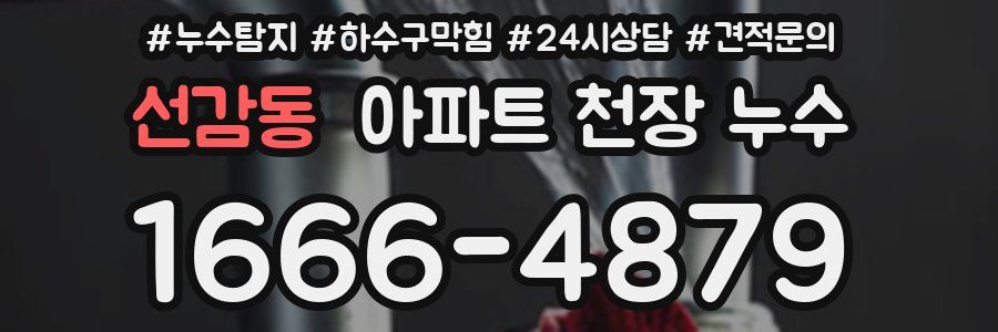 선감동 아파트 천장 누수