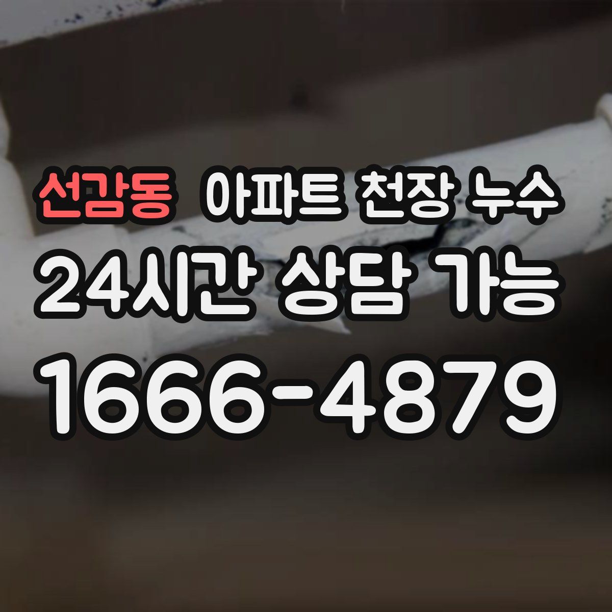 선감동 아파트 천장 누수