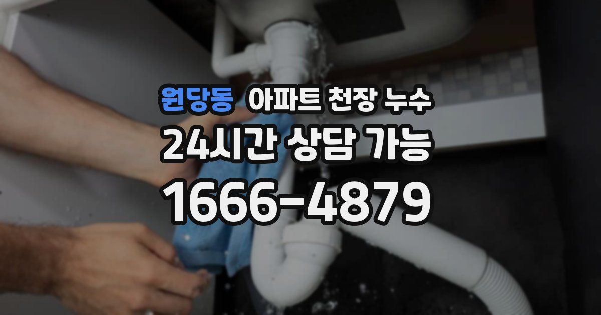 원당동 아파트 천장 누수