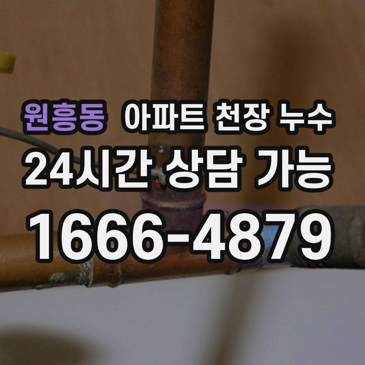 원흥동 아파트 천장 누수