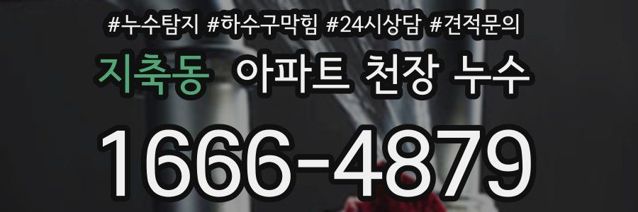 지축동 아파트 천장 누수