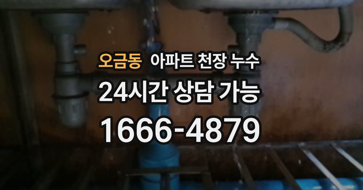 오금동 아파트 천장 누수