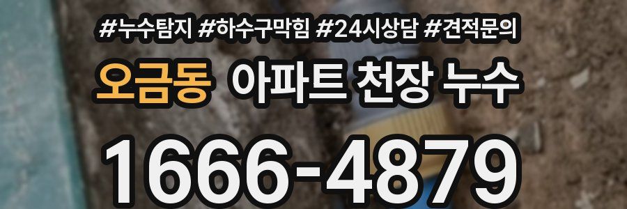 오금동 아파트 천장 누수