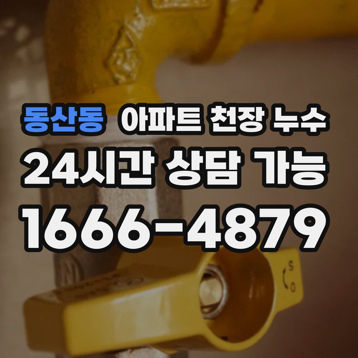 동산동 아파트 천장 누수