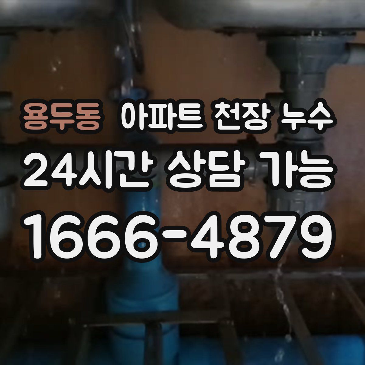 용두동 아파트 천장 누수