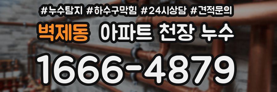 벽제동 아파트 천장 누수