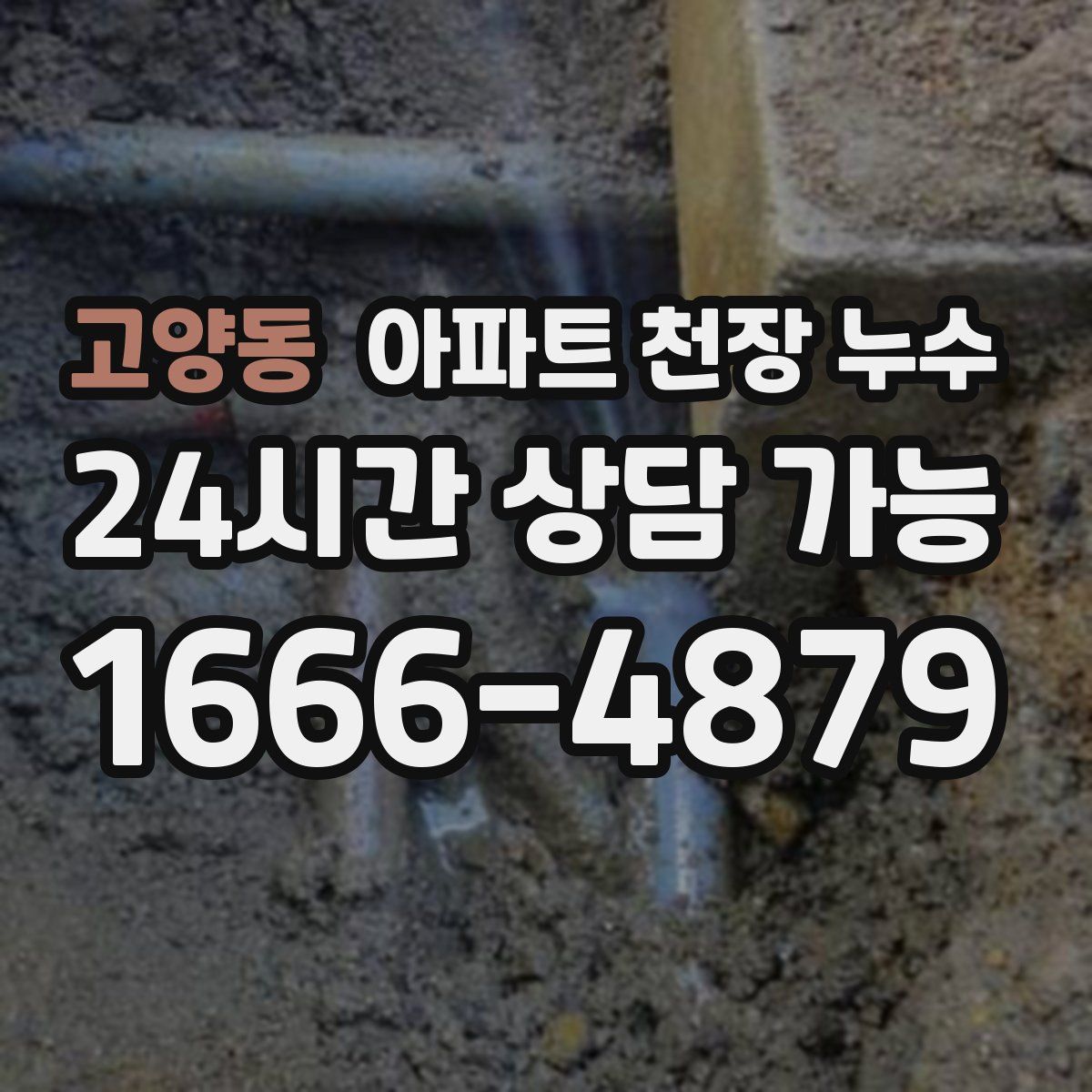 고양동 아파트 천장 누수